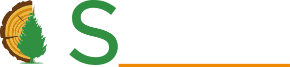 Scierie 65, Scierie 64, Négoce de bois 65, Négoce de bois 64, Exploitation forestière 65, Exploitation forestière 64, Lames de terrasses 65, Lames de terrasses 64, Bardage bois 65, Bardage bois 64