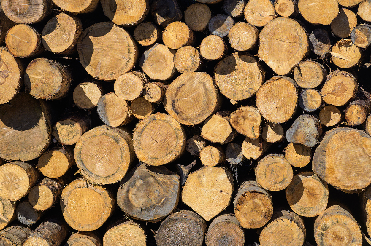 Scierie 65, Scierie 64, Négoce de bois 65, Négoce de bois 64, Exploitation forestière 65, Exploitation forestière 64, Lames de terrasses 65, Lames de terrasses 64, Bardage bois 65, Bardage bois 64