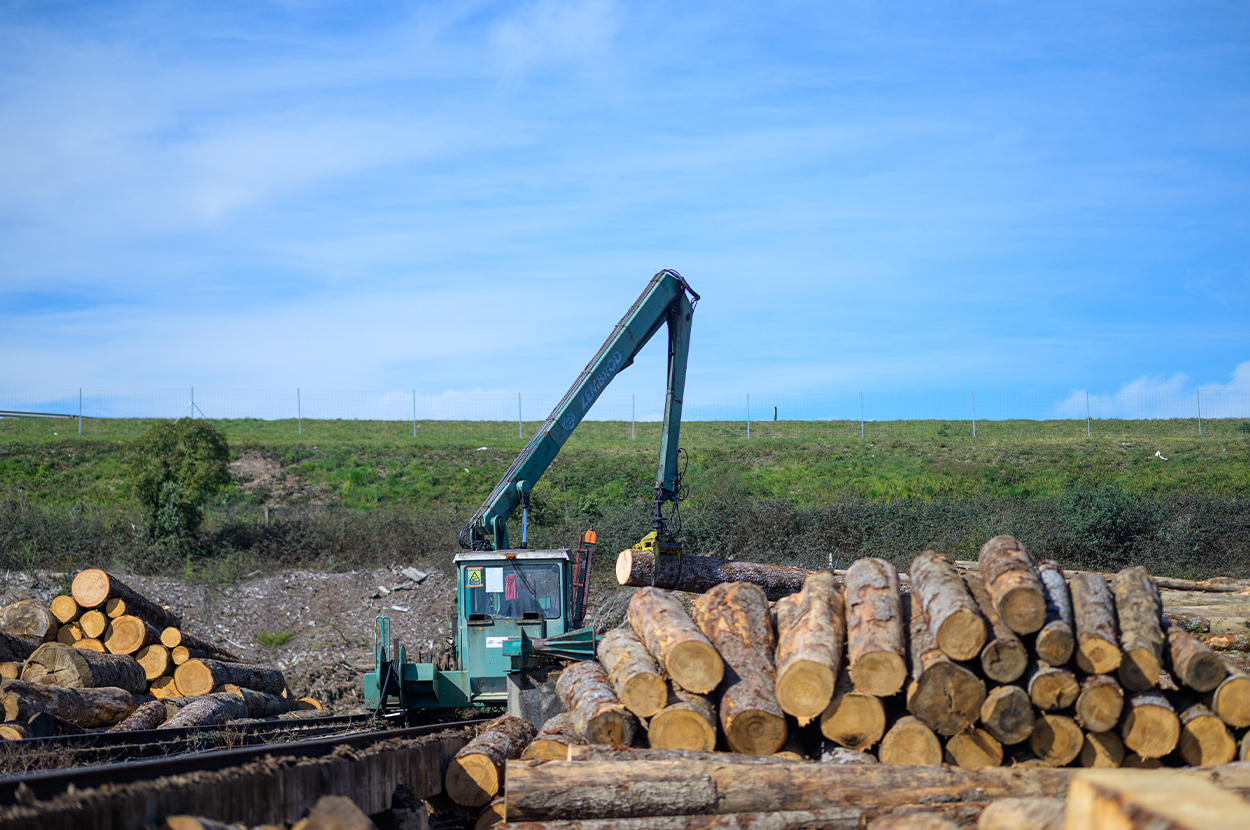 Scierie 65, Scierie 64, Négoce de bois 65, Négoce de bois 64, Exploitation forestière 65, Exploitation forestière 64, Lames de terrasses 65, Lames de terrasses 64, Bardage bois 65, Bardage bois 64