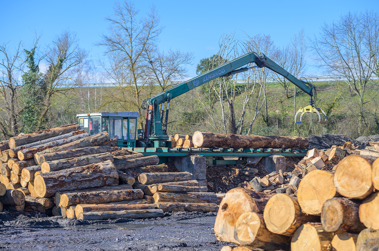 Scierie 65, Scierie 64, Négoce de bois 65, Négoce de bois 64, Exploitation forestière 65, Exploitation forestière 64, Lames de terrasses 65, Lames de terrasses 64, Bardage bois 65, Bardage bois 64